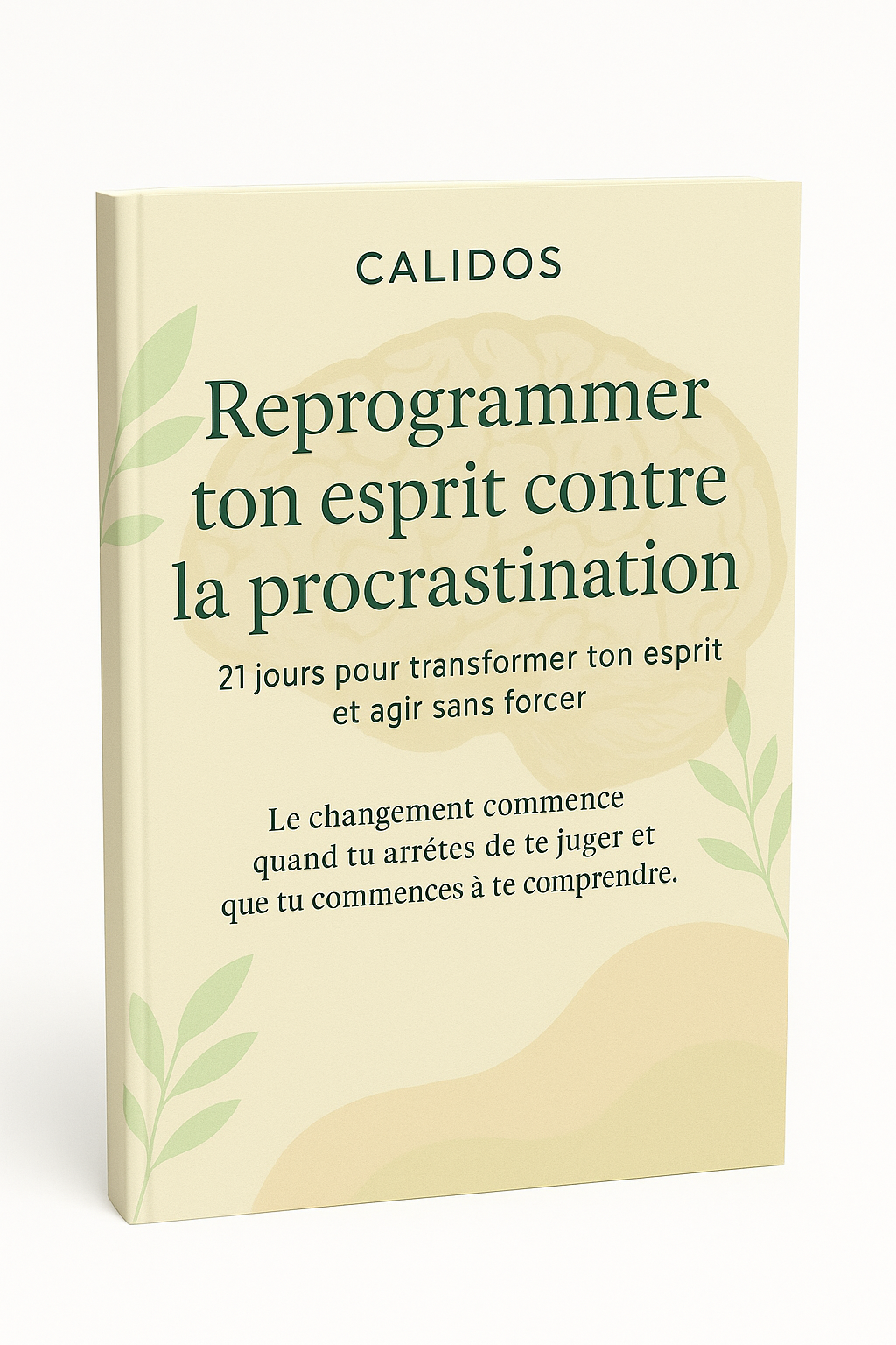 un livre