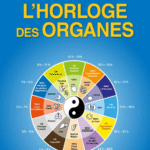 L'HORLOGE DES ORGANES